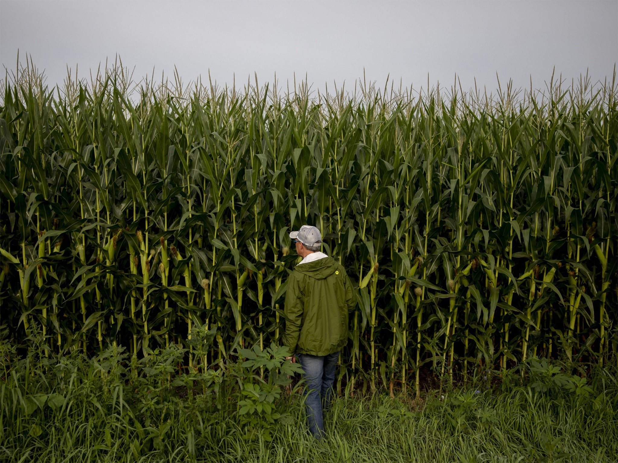 Debates about how to distribute plant genetic information is holding the potential of the treaty back