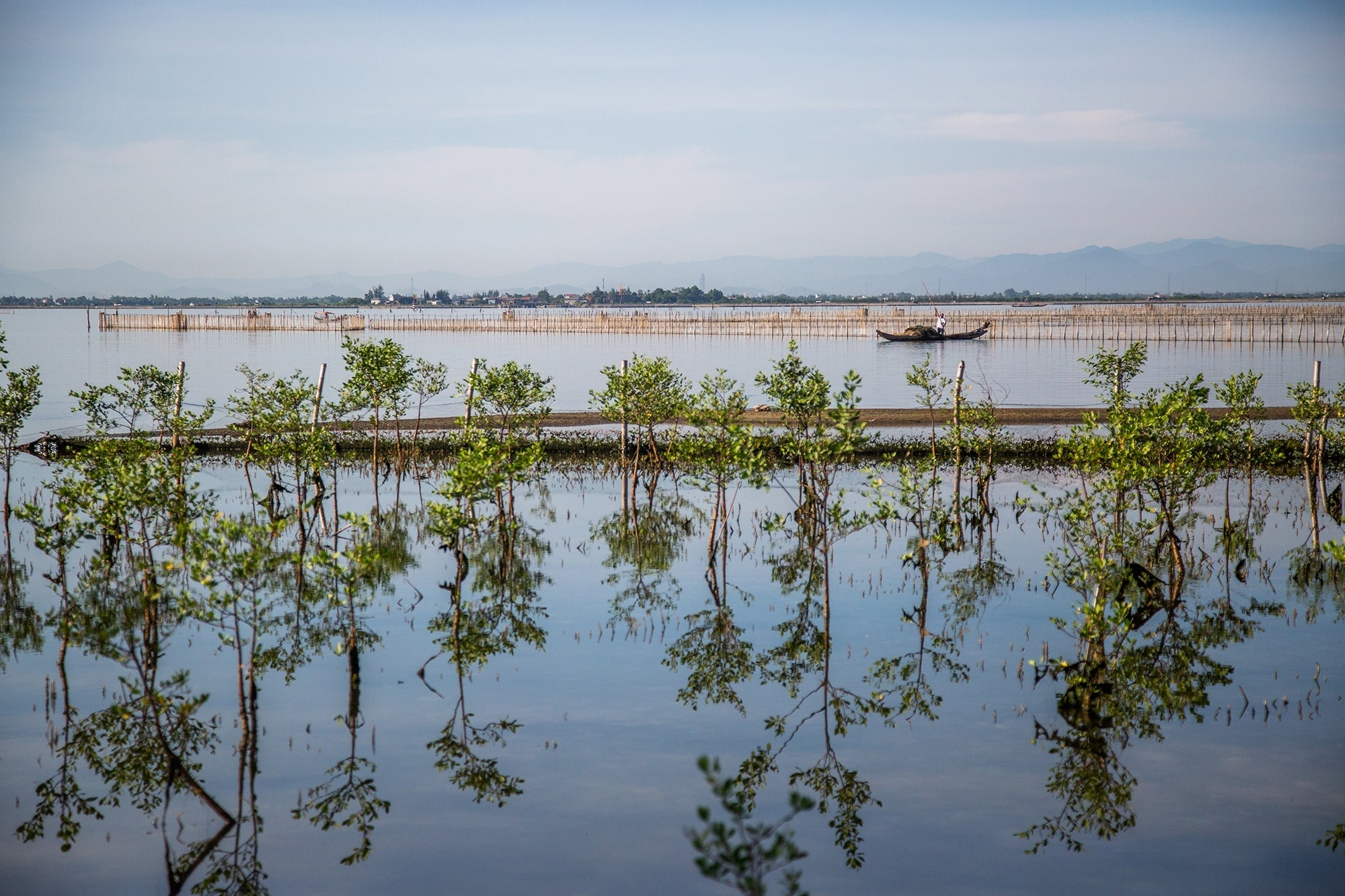 A fishing boat floats past the site of the Hai Duong Commune mangroves. The Centre for Social Research and Development recruited local women to plant mangroves here as part of its ResilNam project in 2018. When grown, the trees can reduce the effects of flooding