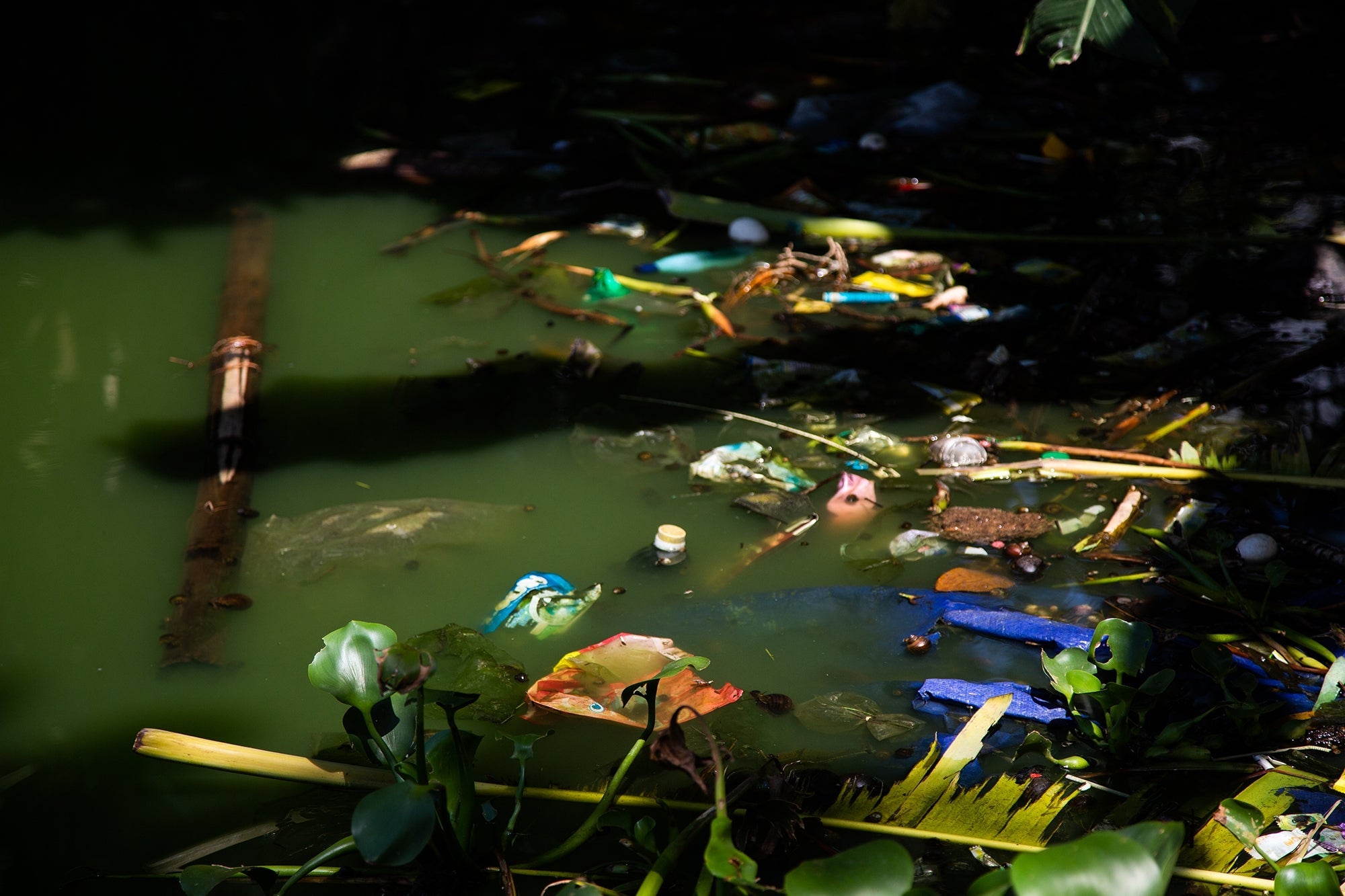 Rubbish discarded in Ho Au Lake in Hue. The lake is one of the clean-up sites proposed by the Centre for Social Research and Development, in an effort to reduce the pollution of local waterways