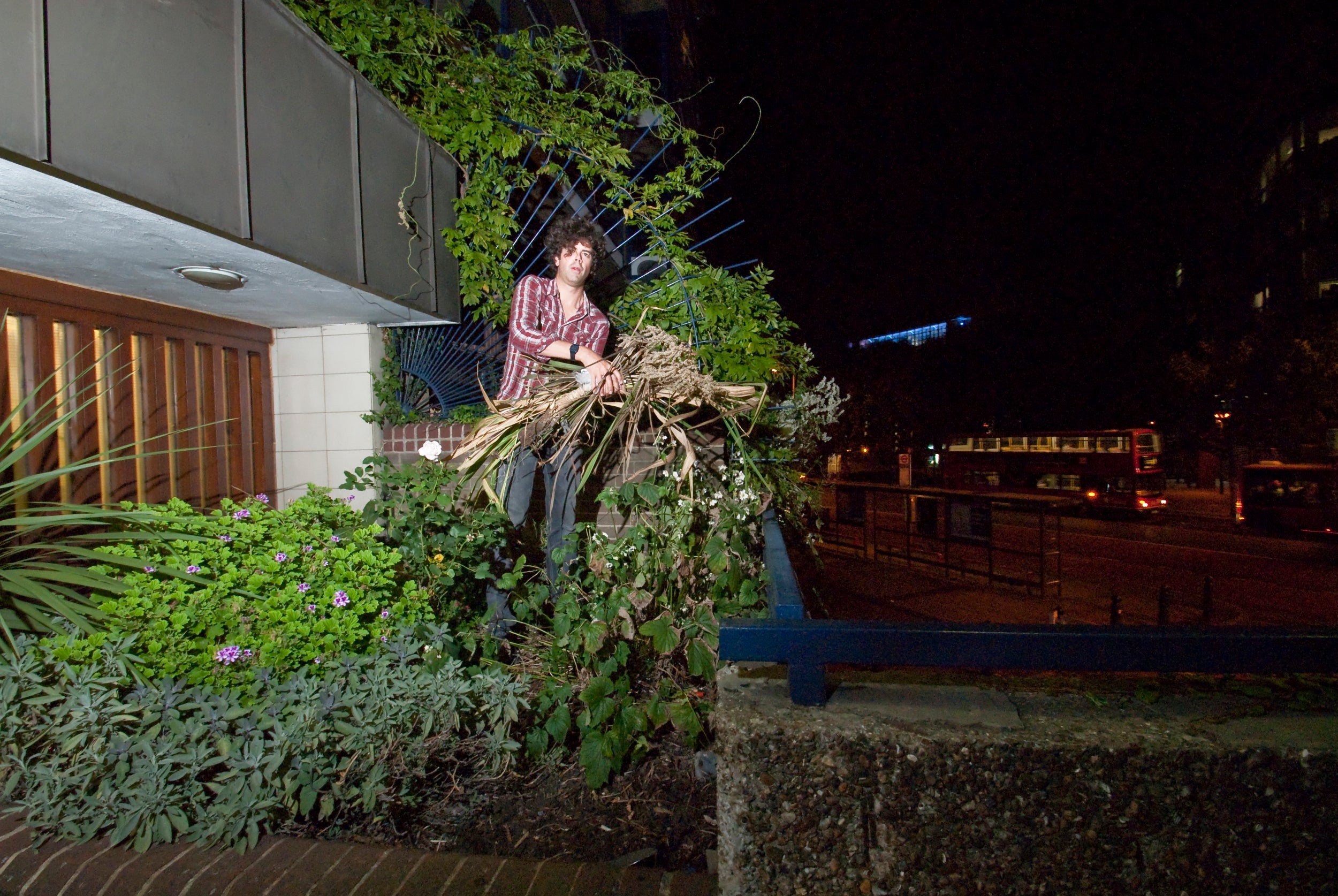 Reynolds began his guerrilla gardening movement by brightening up the greenery around Perronet House in London
