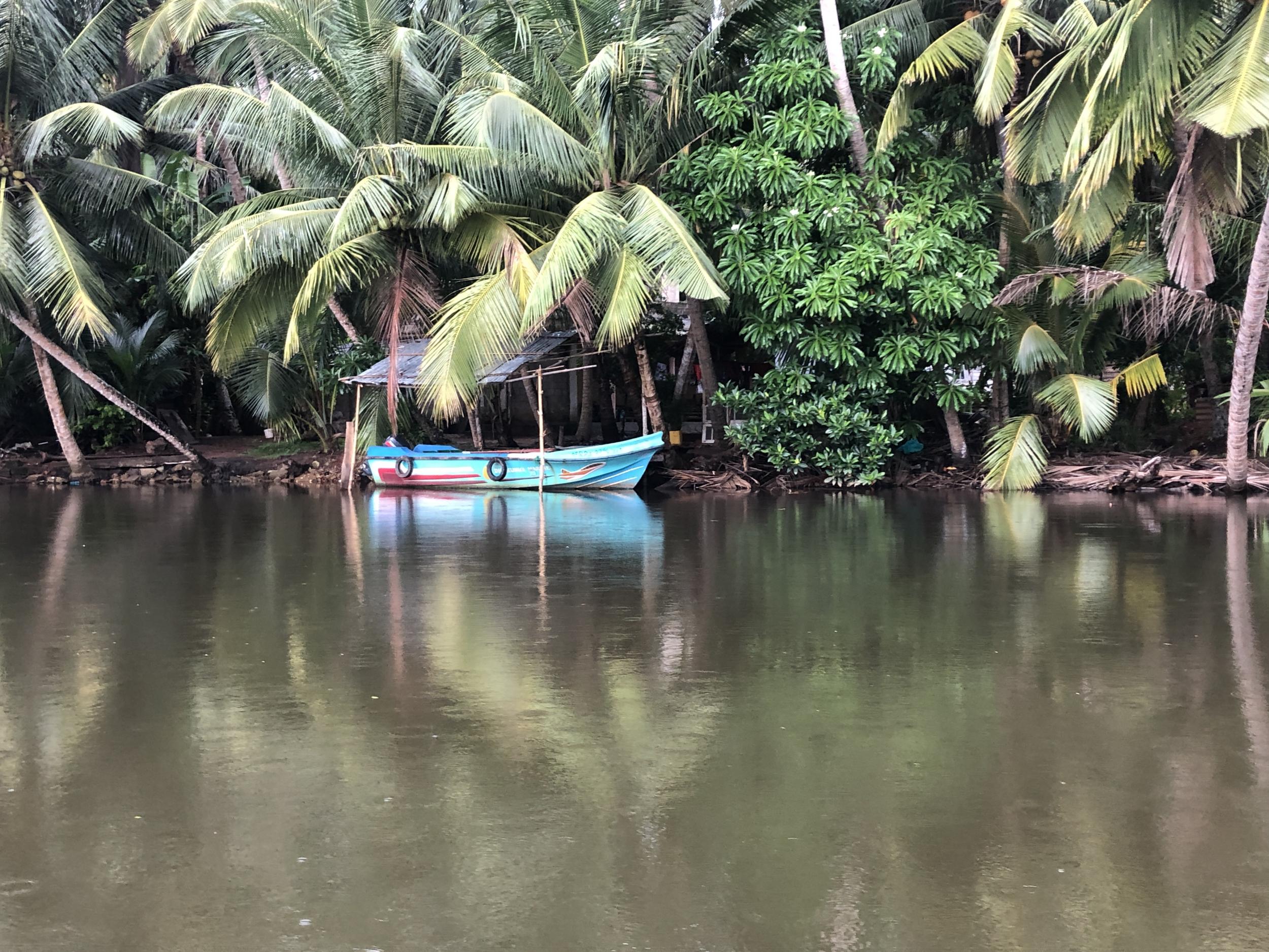 Visitor can journey the mangrove-hemmed Madu river