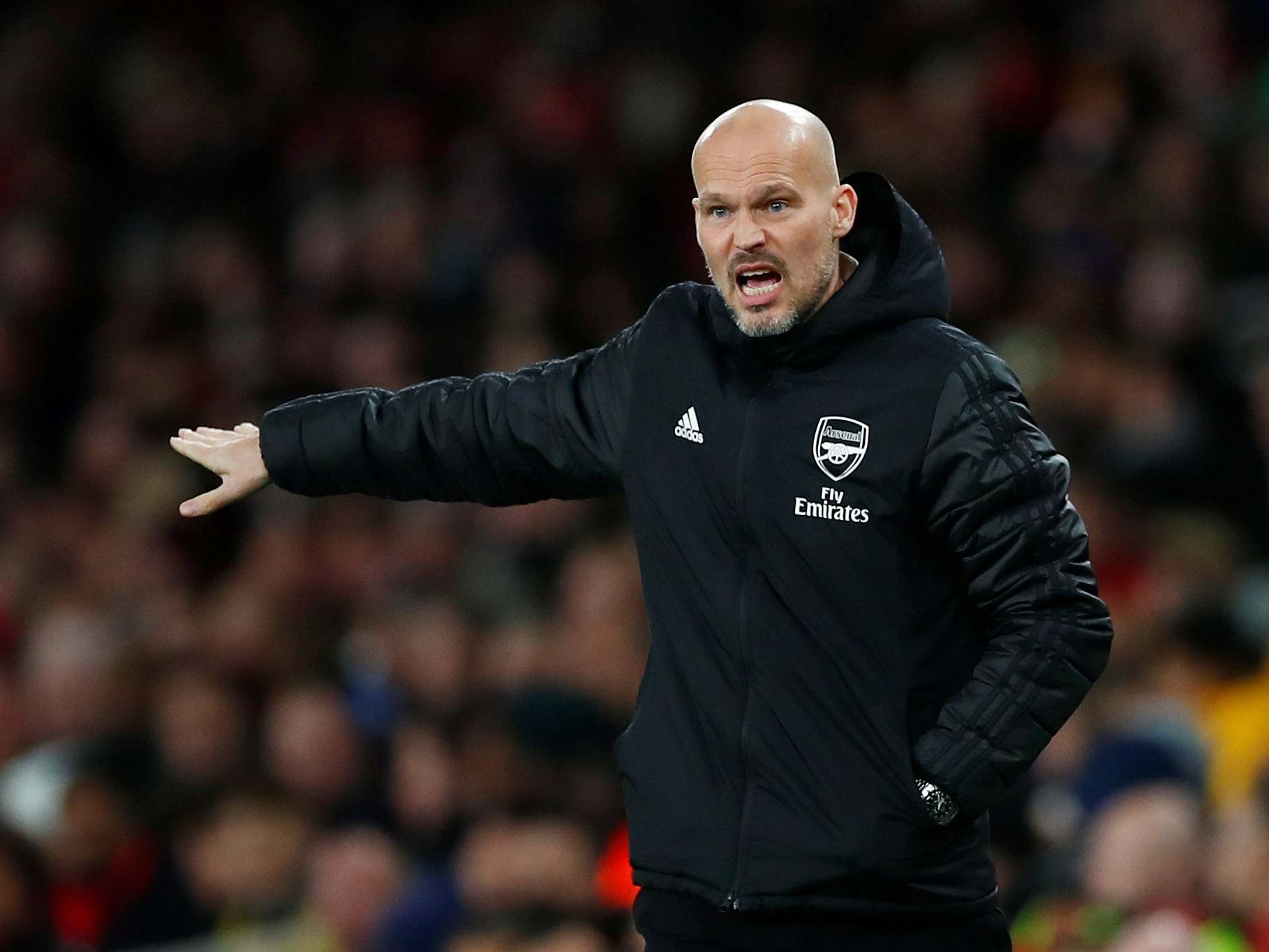 Freddie Ljungberg is yet to taste victory as Arsenal manager