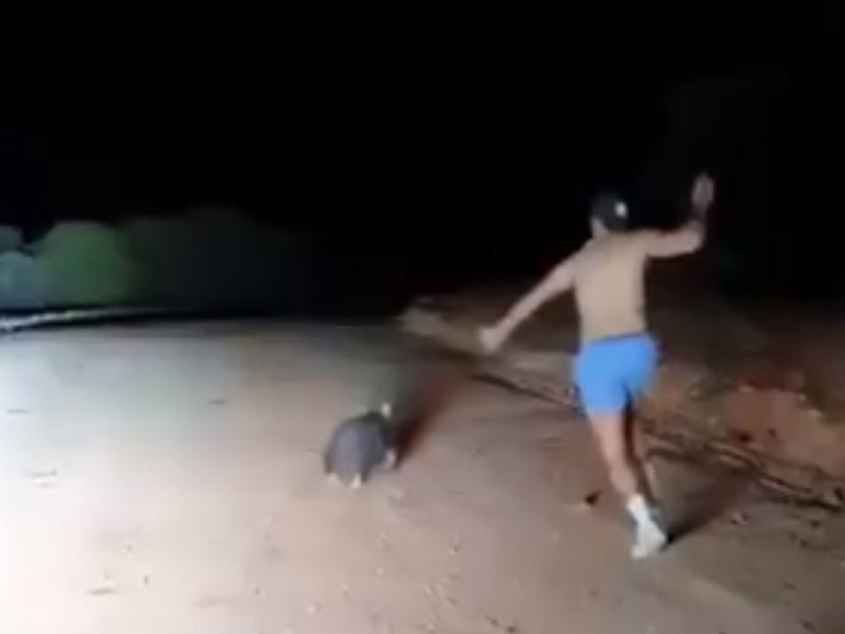 Waylon Johncock was filmed killing a wombat in southwest Australia in early October