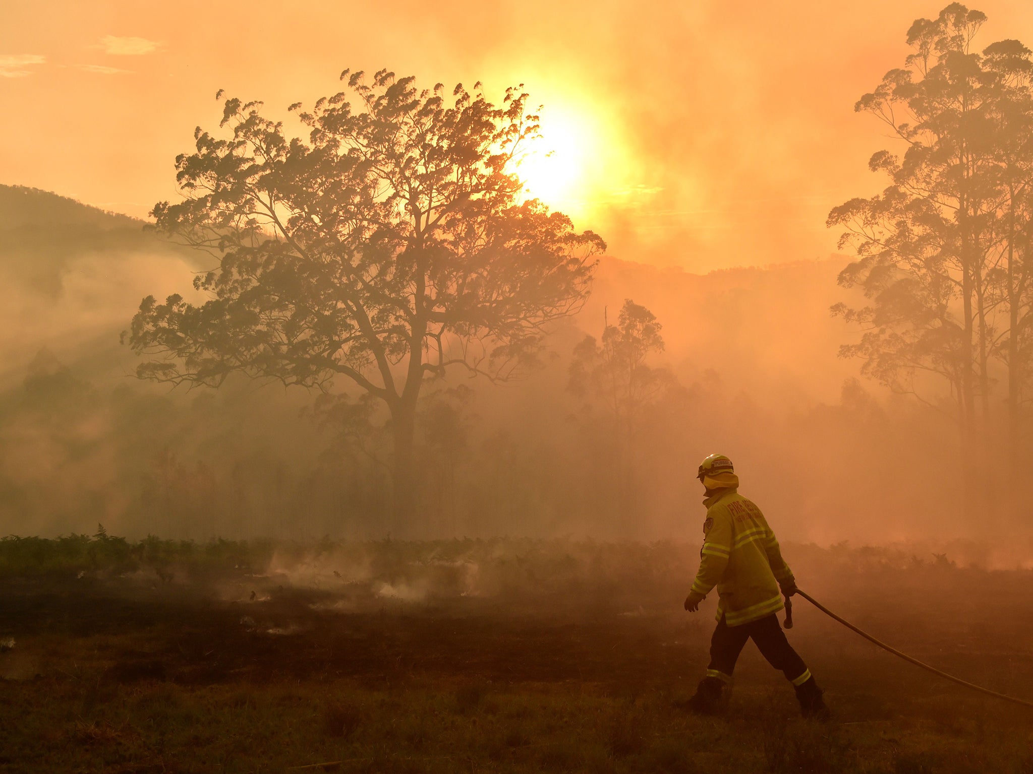 At least six people have been killed as the blaze rages on