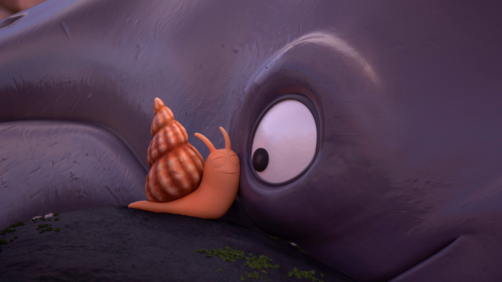 The snail cuddles the whale