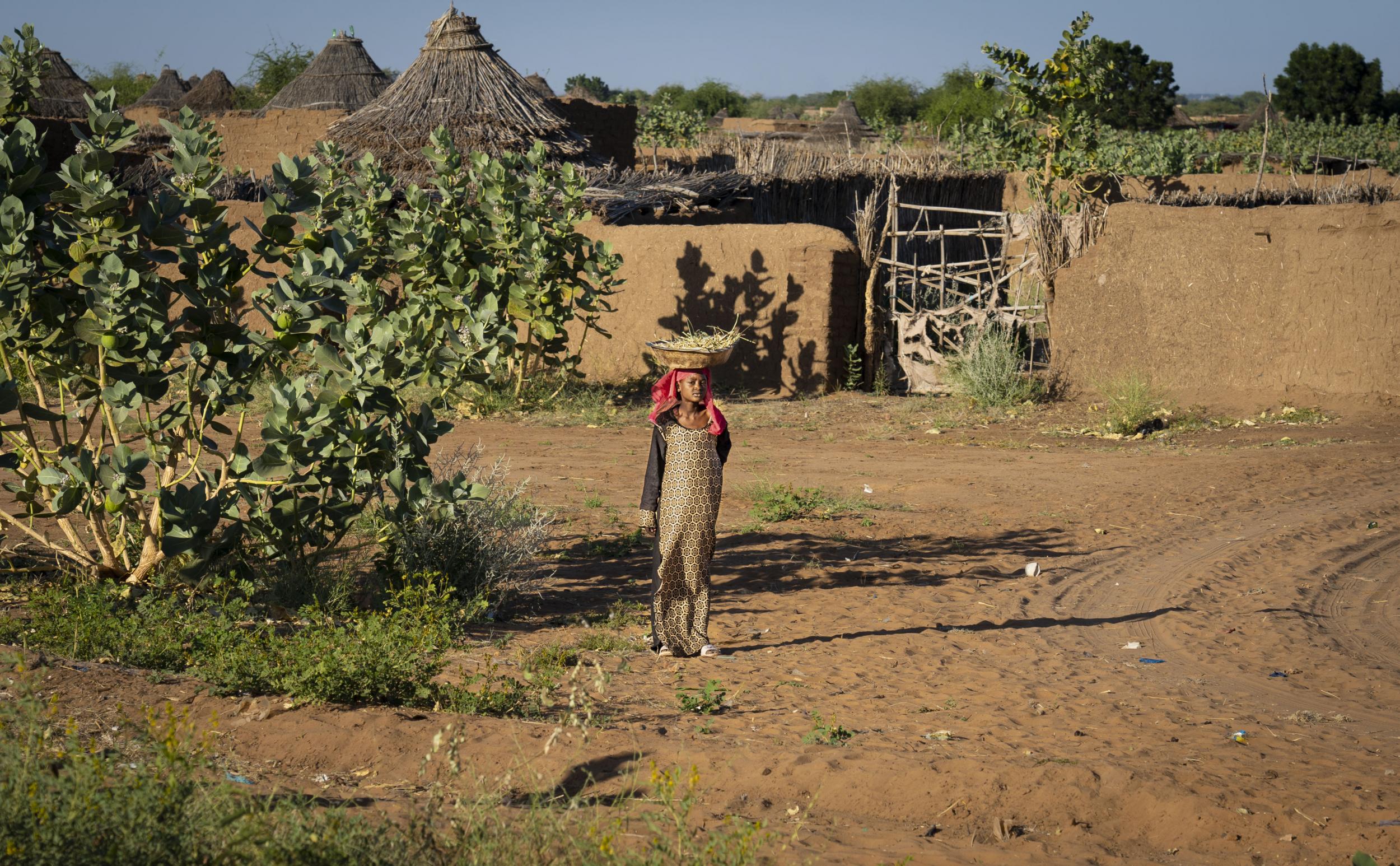 Zamzam displacement camp in North Darfur