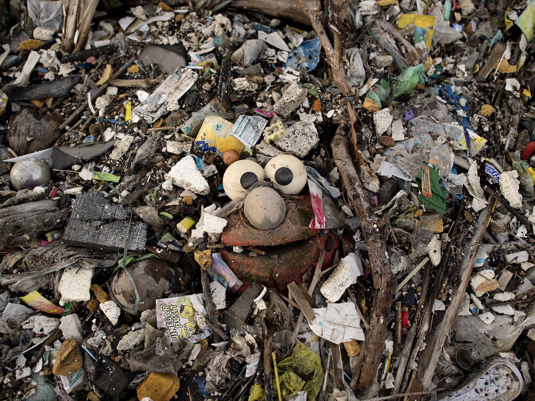 Many toys are dumped in landfills within two years of buying