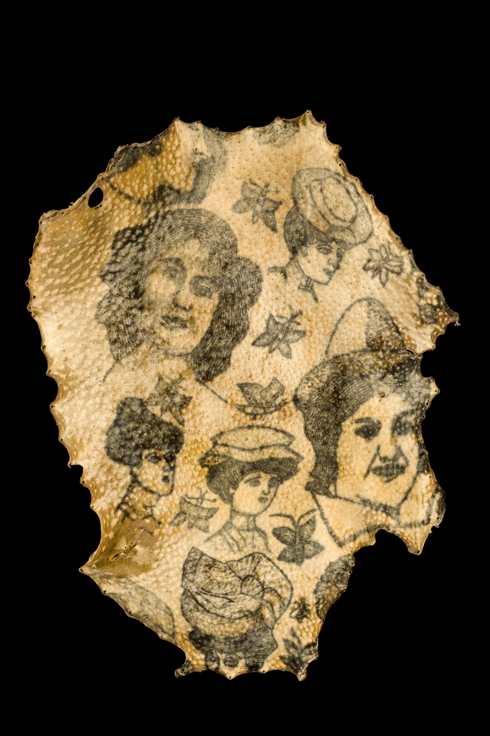 Human skin with tattoos of women’s heads, from France, between 1900 and 1920