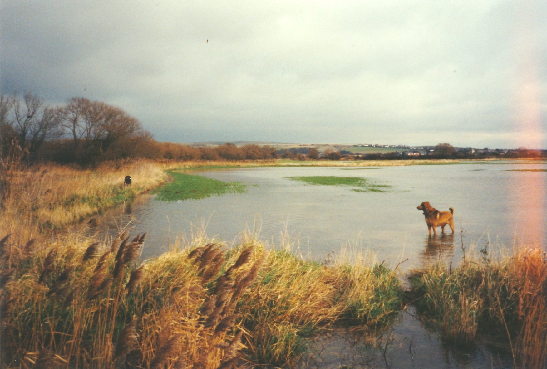 At least 600 houses are due to go up on a site near Lancing in the highest-risk flood zone