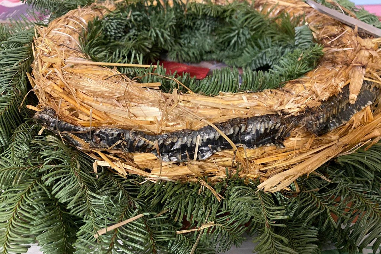 Snake was curled up in 'natural' wreath