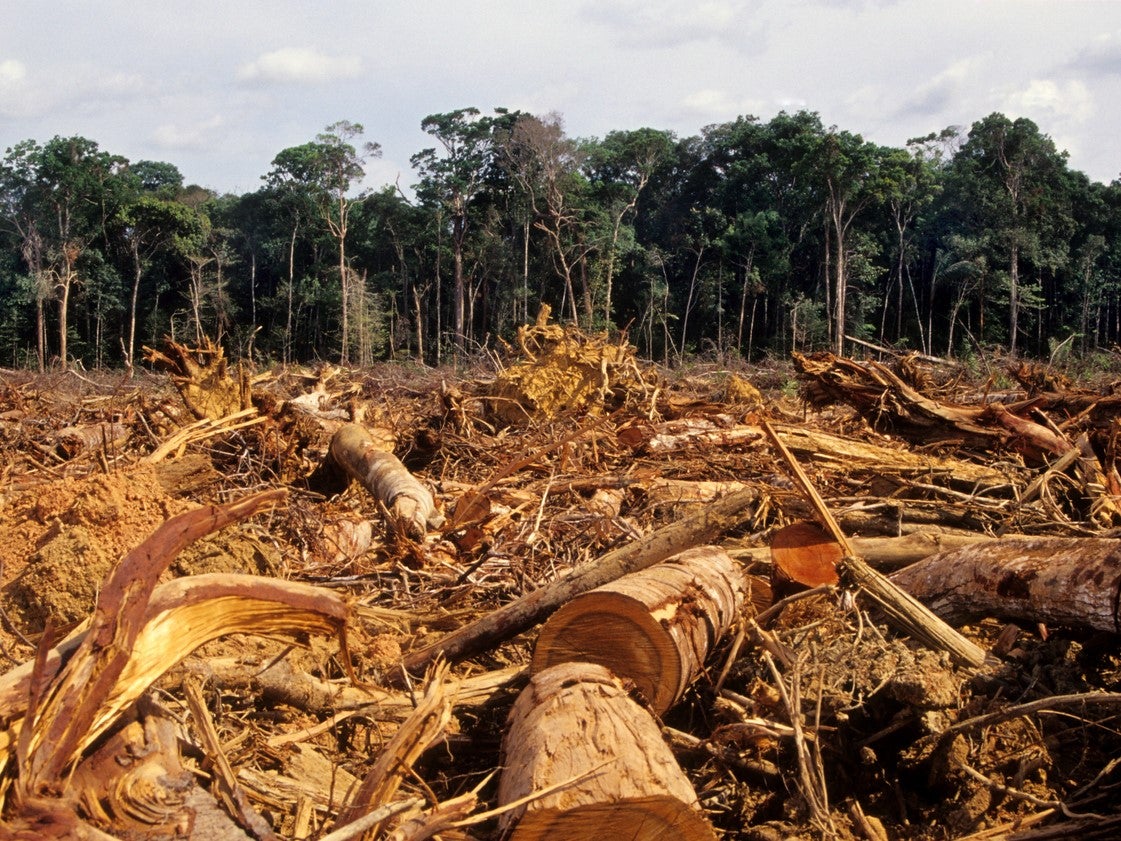 Deforestation in the Amazon has prompted increasingly violent clashes between loggers and indigenous people