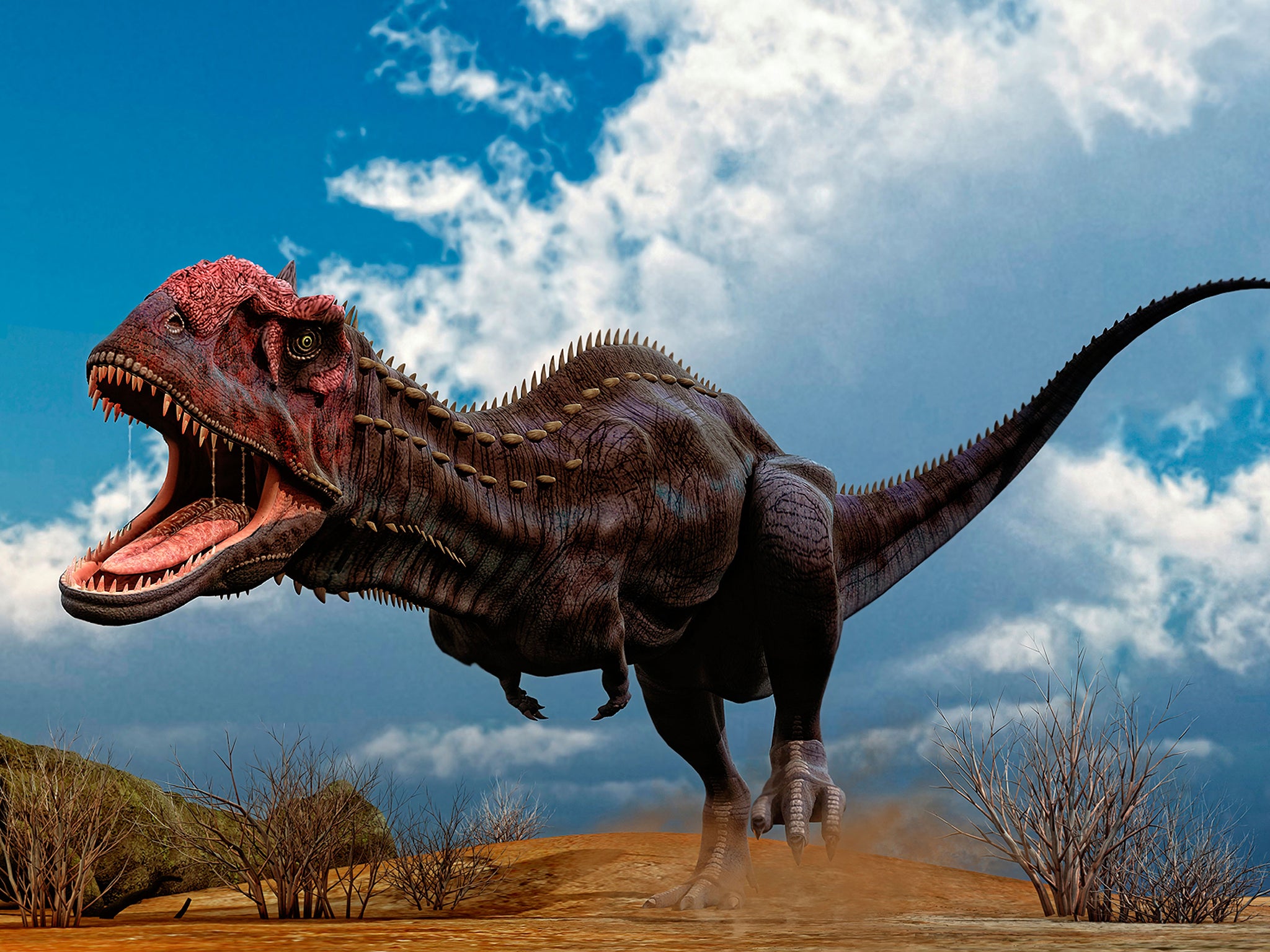 Majungasaurus replaced their teeth every 56 days