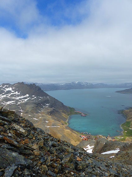 Cumberland East Bay, South Georgia (Credit: Sarah Clark)