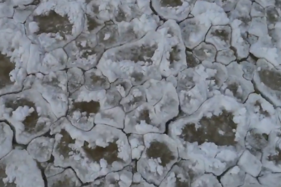 Ice plates have formed on Lake Ontario