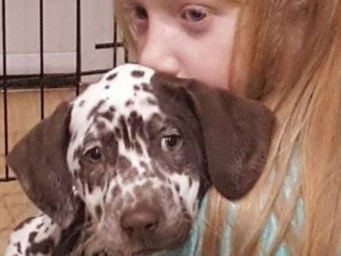 Twelve-year-old Chloe Hopkins' autism therapy dog Lottie was stolen from her family's home in Peatling Parva, Leicestershire, on 1 December, 2019.