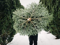 HIV charity decorates tree in free condoms for people to collect at Christmas