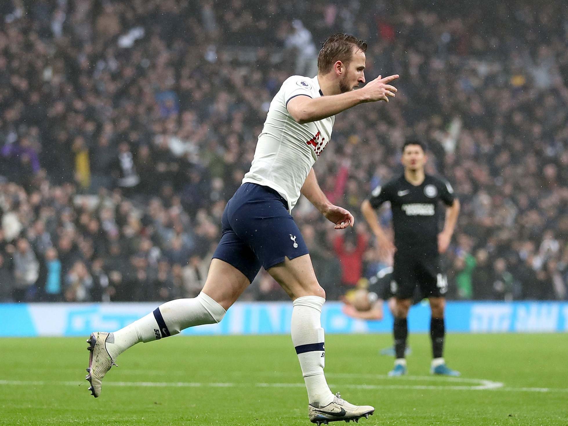 Harry Kane celebrates his equaliser