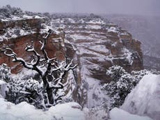 Man found alive almost two weeks after going missing in Grand Canyon