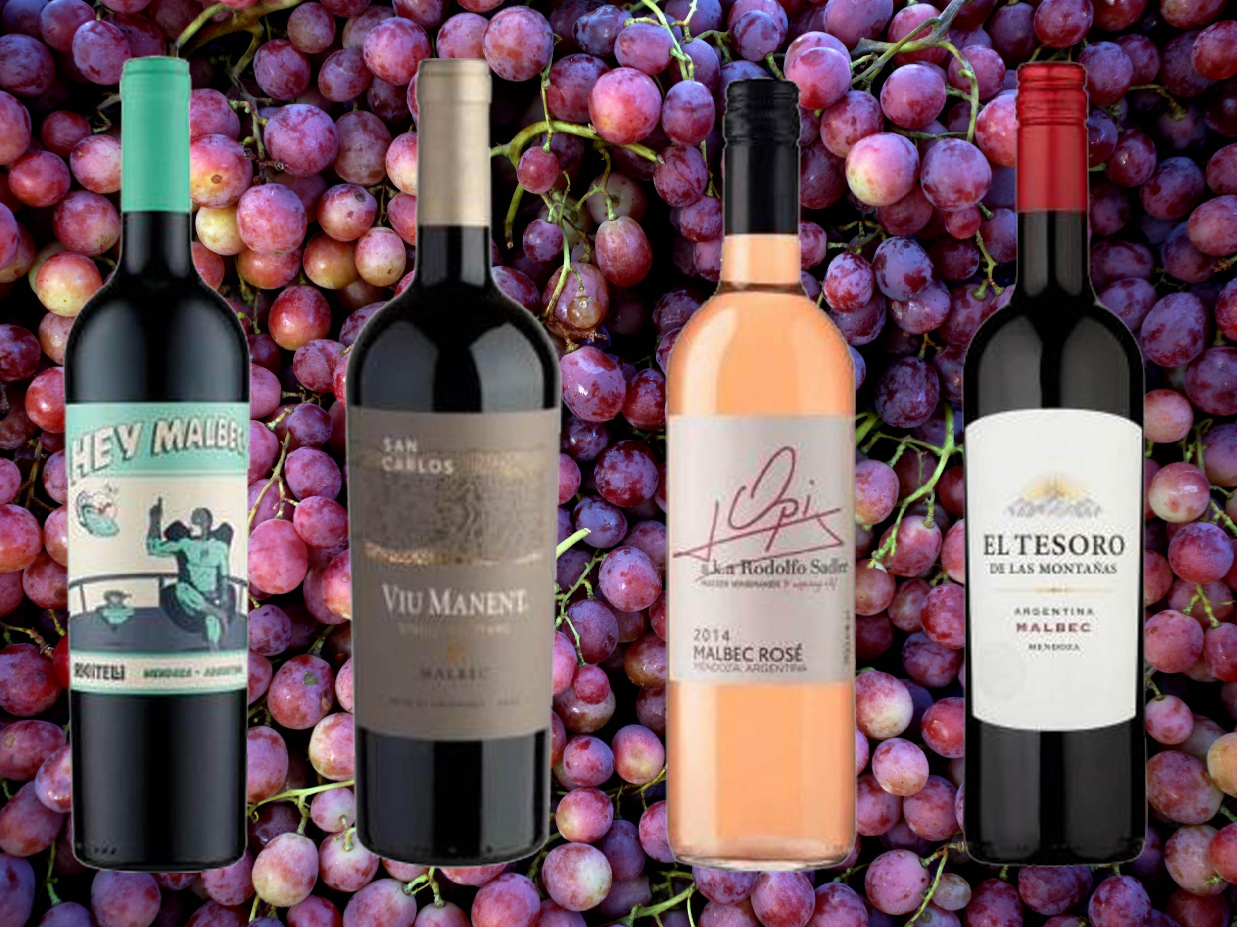 15 best malbec wines all red oenophiles need to know about
