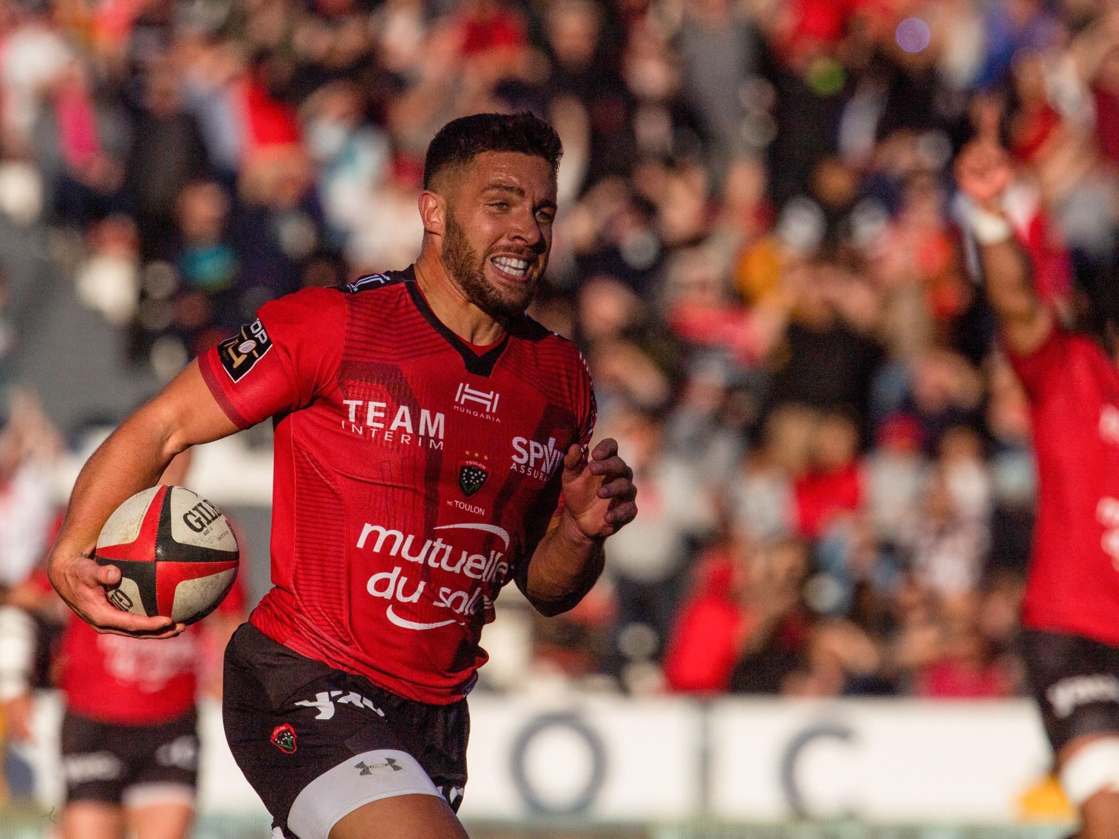 Rhys Webb will leave Toulon at the end of the season to return to Wales