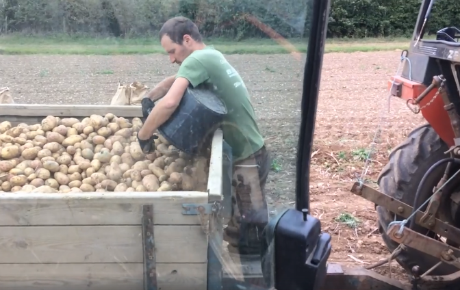 Potatoes from a one-acre field will produce around £16,000 in profit – compared to £100,000 if those potatoes are turned into crisps