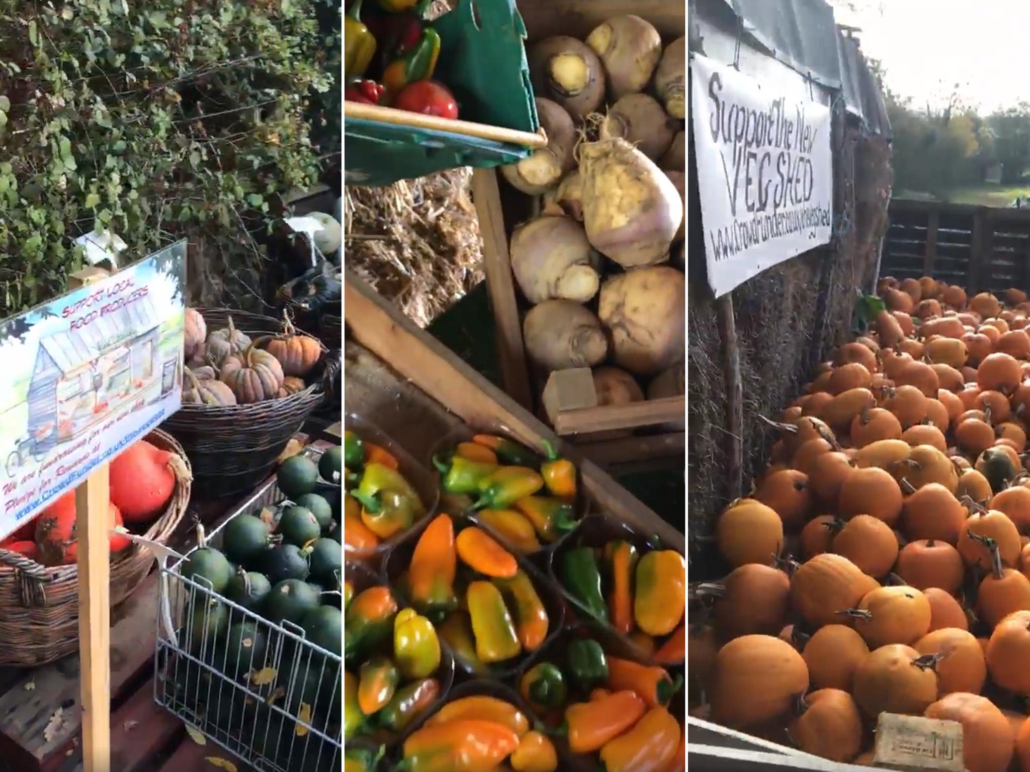 Tolhurst Organic produces fruit and vegetables, with no grazing animals and no animal inputs, on its 17-acre farm