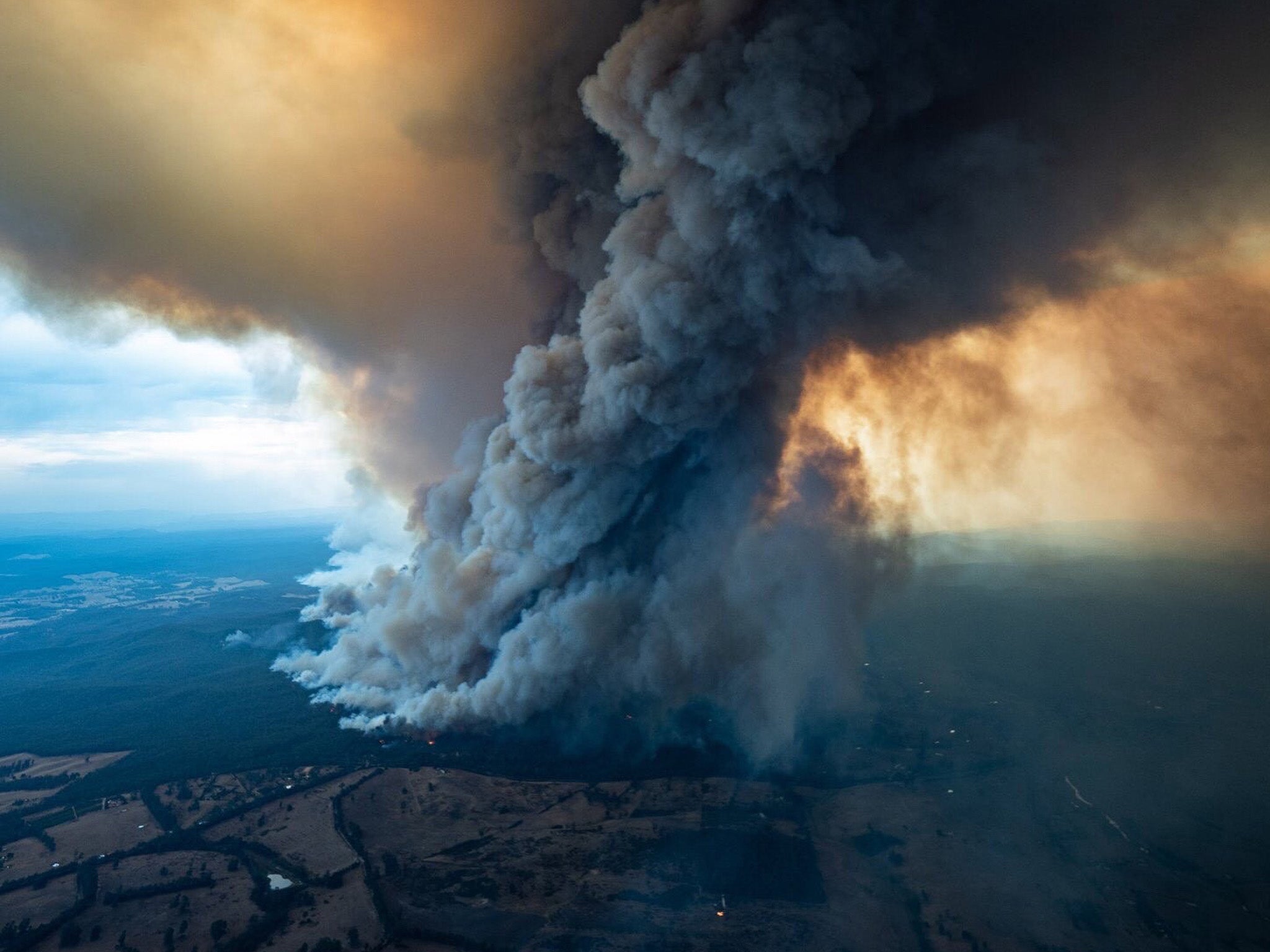 A staggering 1 billion animals were killed in the Australia bushfires at the start of the year