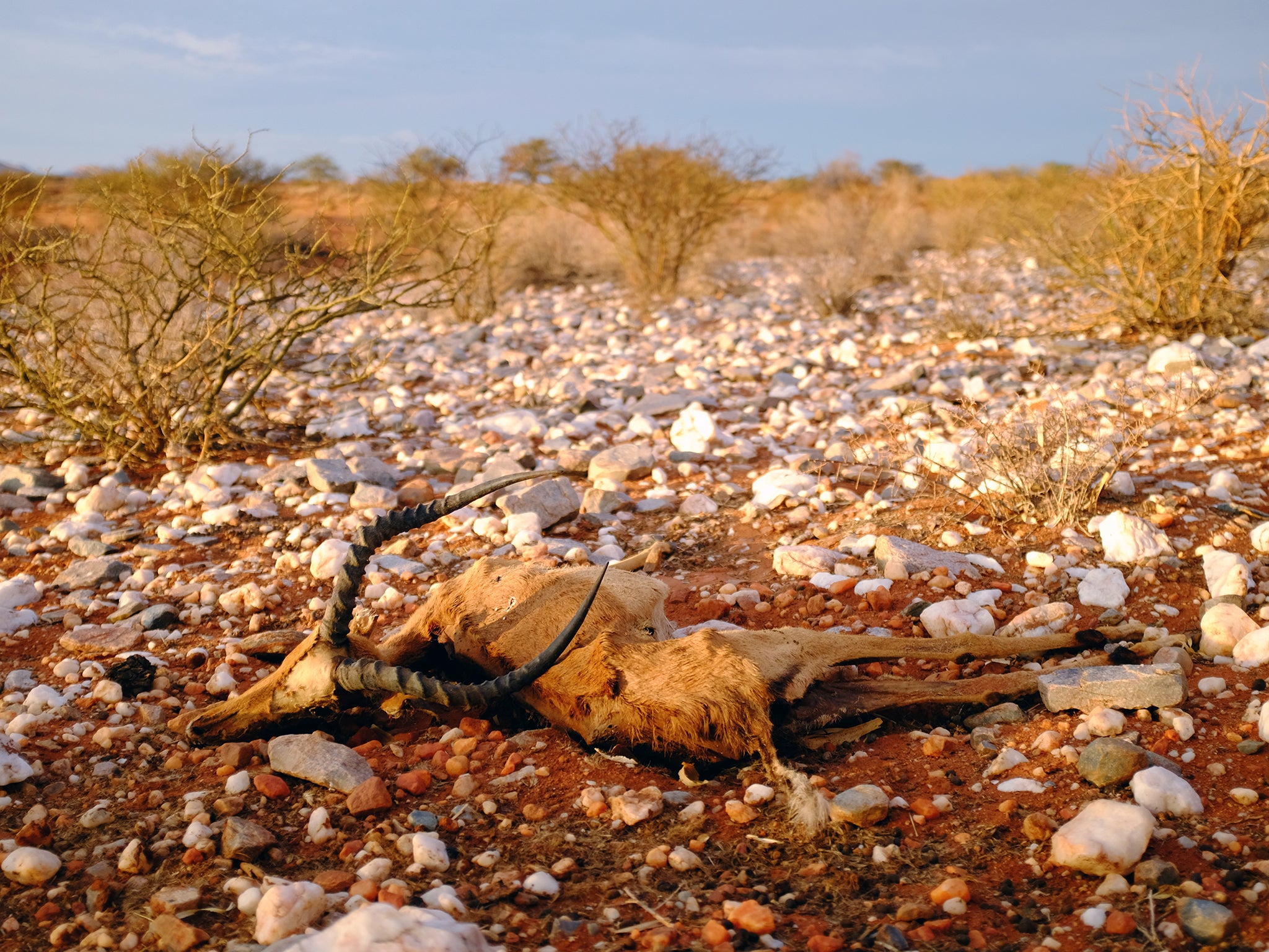 Parts of the country have been affected by consecutive years of abnormally hot weather and below average rainfall