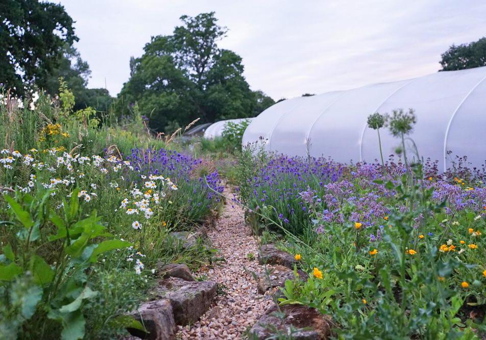 Most UK farmers agree: it’s better to eat local produce