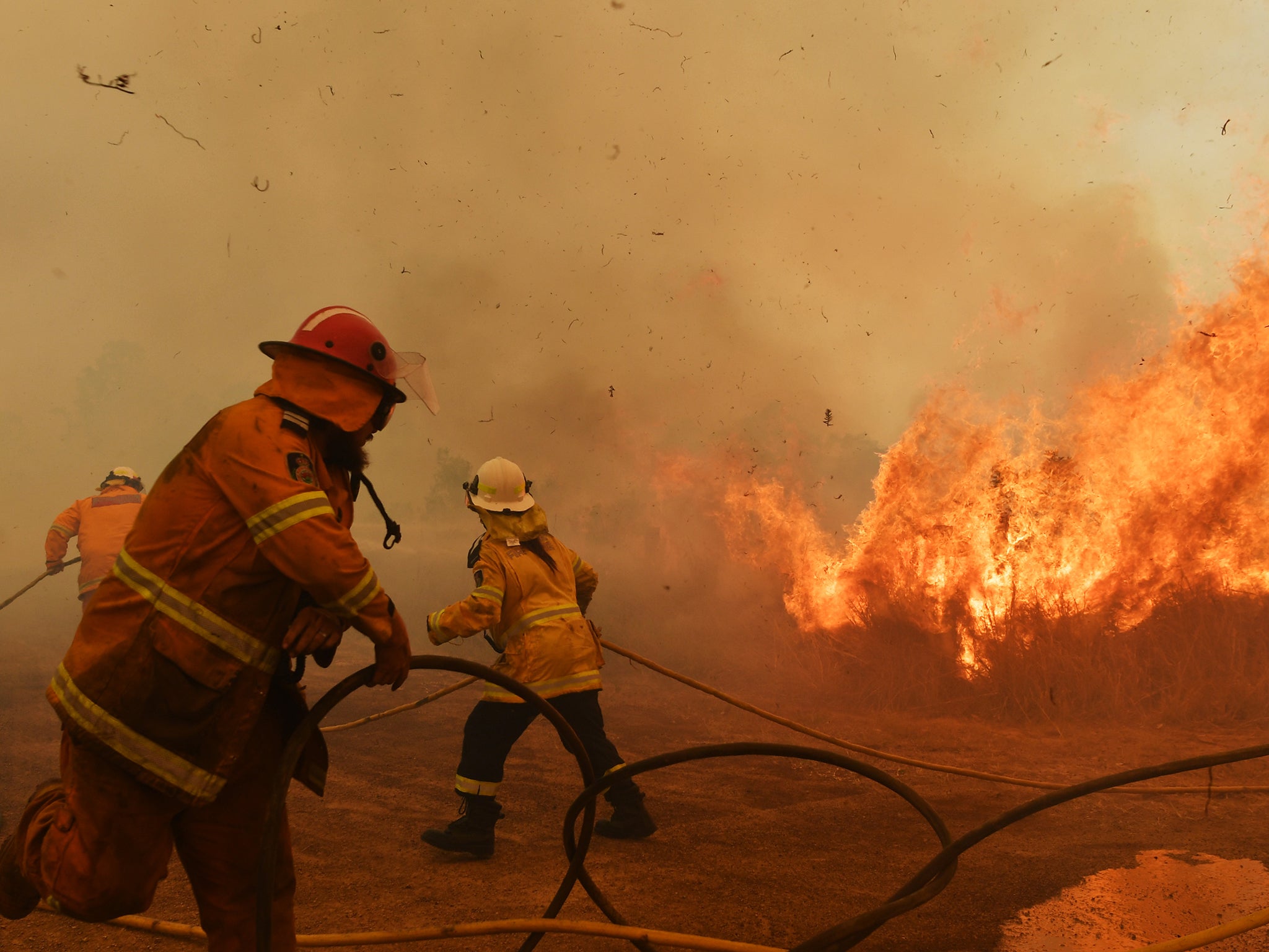 Firefighters battle a spot fire in Hillville, Australia