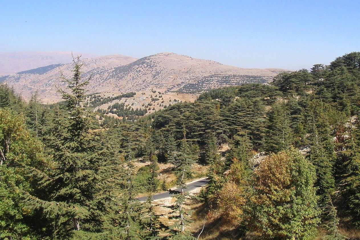 Al Shouf Cedar Nature Reserve