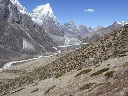 Researchers find small but significant increase in vegetation across four height brackets from 4,150 to 6,000m above sea level