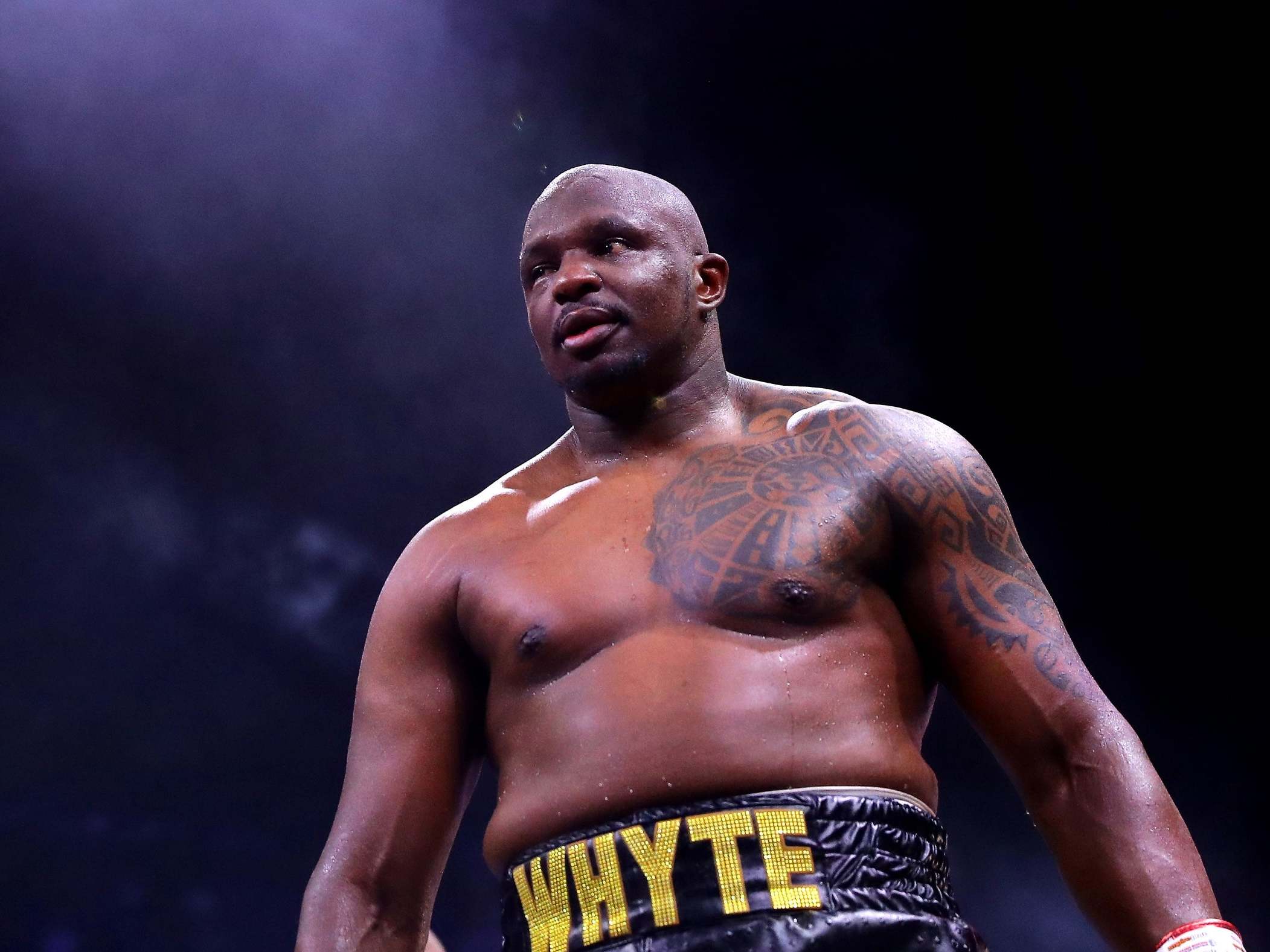 Whyte is frustrated at the delay in his opportunity at a world title