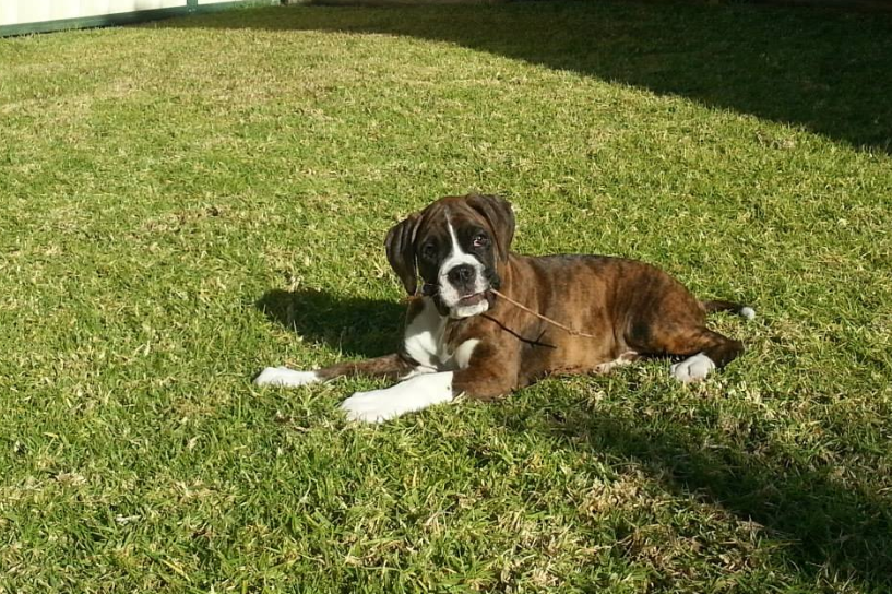 Duke died during a Qantas flight