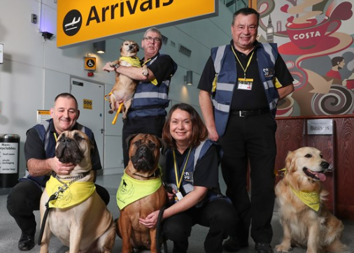 The dogs will be at Southampton airport once a week