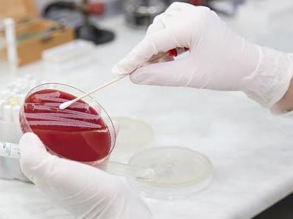 An urgent warning has been issued over the spread of antibiotic-resistant bacteria that has the potential to reach the UK