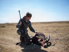 Trophy hunting ‘fuels race injustice as bad as apartheid’, MPs told 