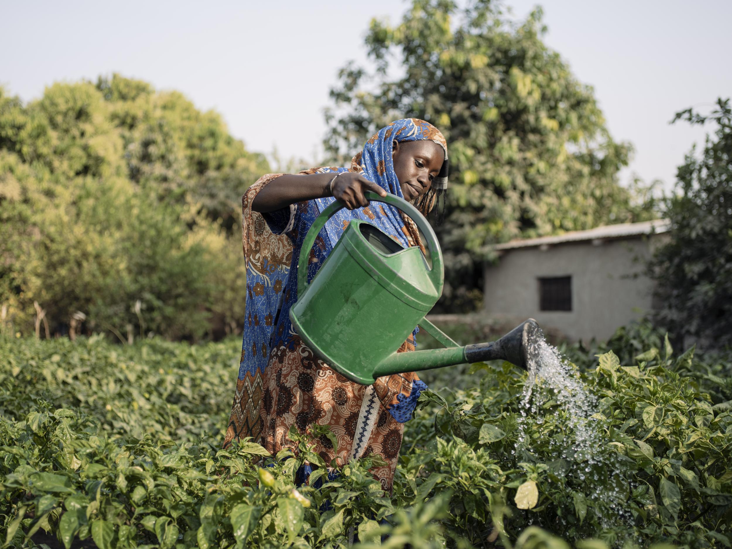 &#13;
Belange, 23, excelled at agricultural training and now grows her own vegetable garden, as well as, rearing pigs and poultry (Paddy Dowling/Y Care)&#13;