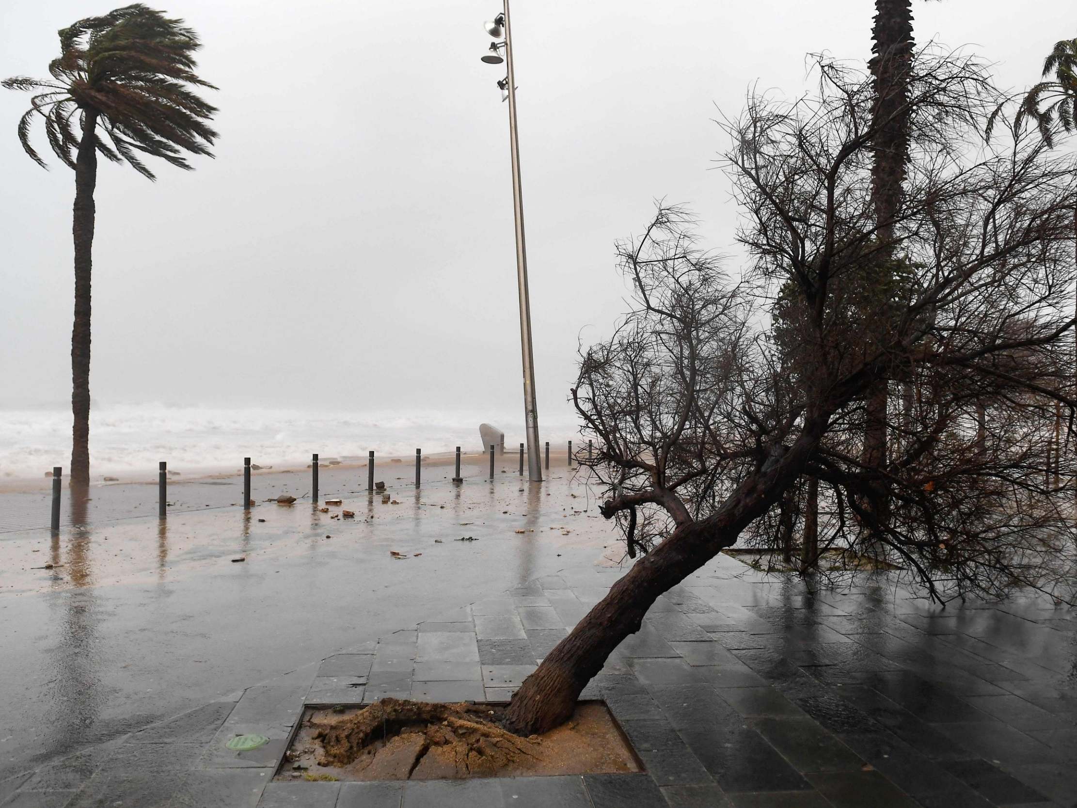 Warning sign? Storm Gloria batters El Bogatell beach in Barcelona