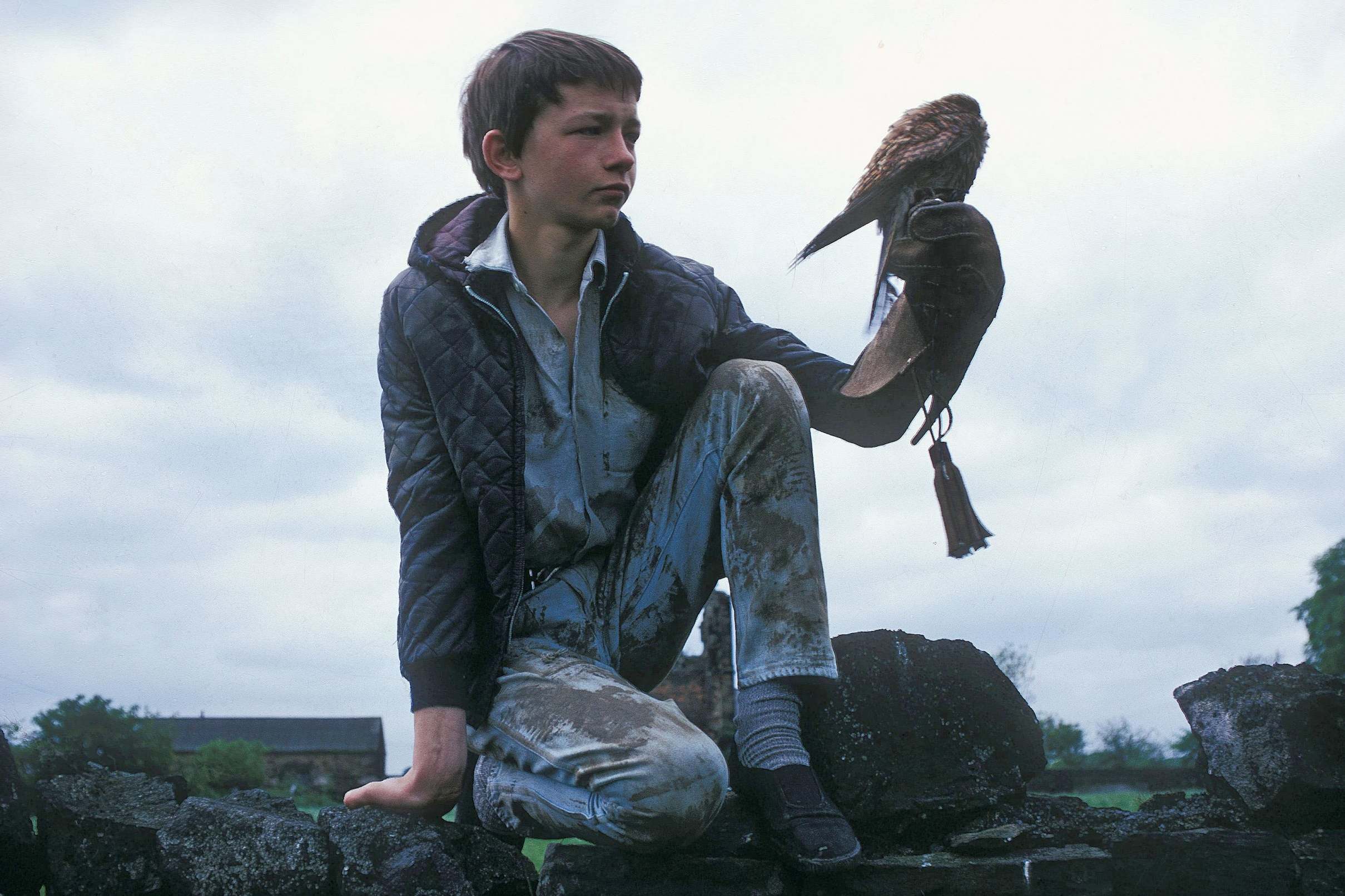 David Bradley stars in ‘Kes’ (1969), produced by Garnett