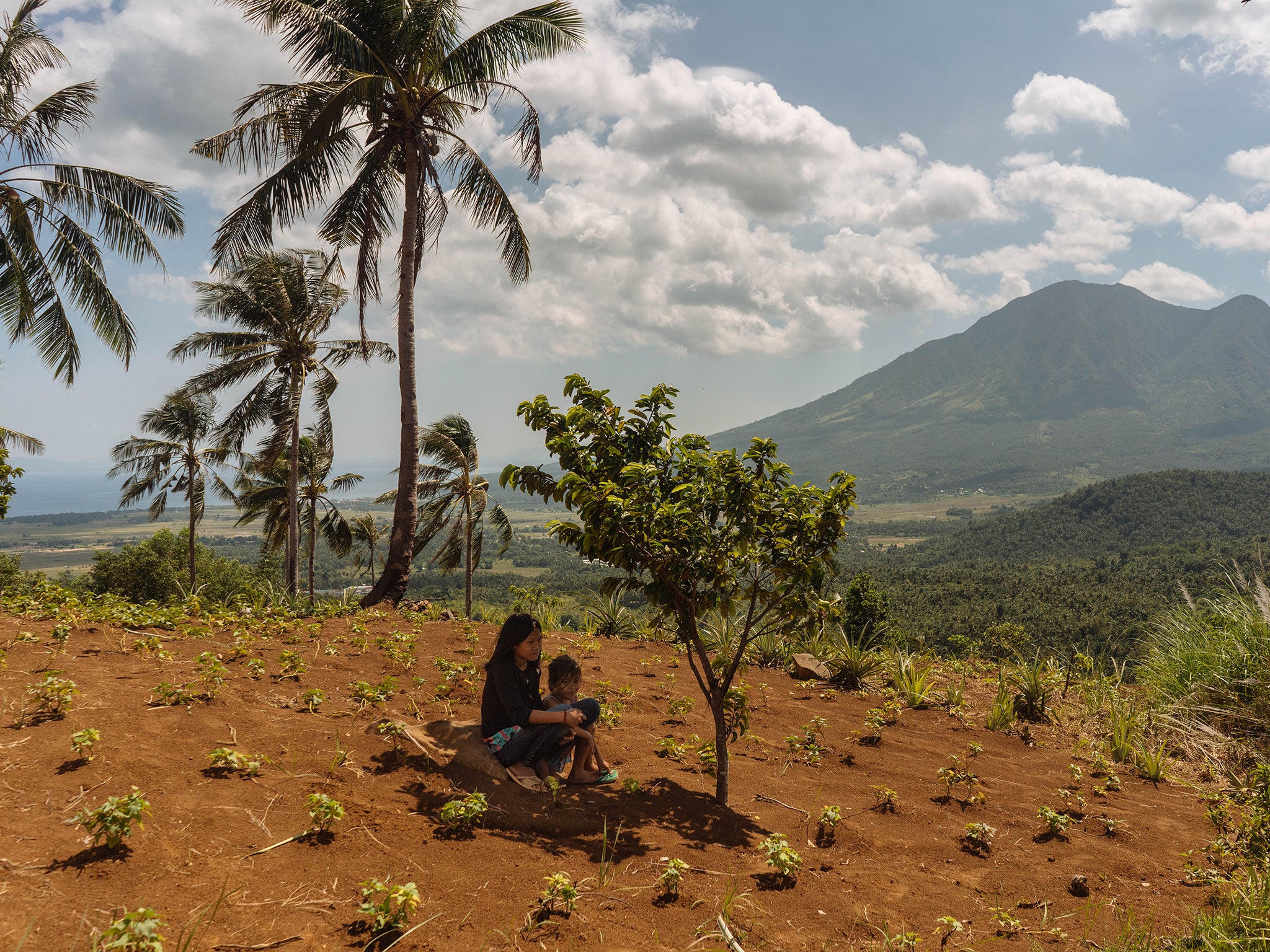 Various tree species have been planted over 6.6 hectares of land in Biliran, Philippines (The Washington Post)