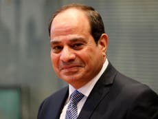 Egypt 'an oasis of stability', claims Sisi amid protester arrests