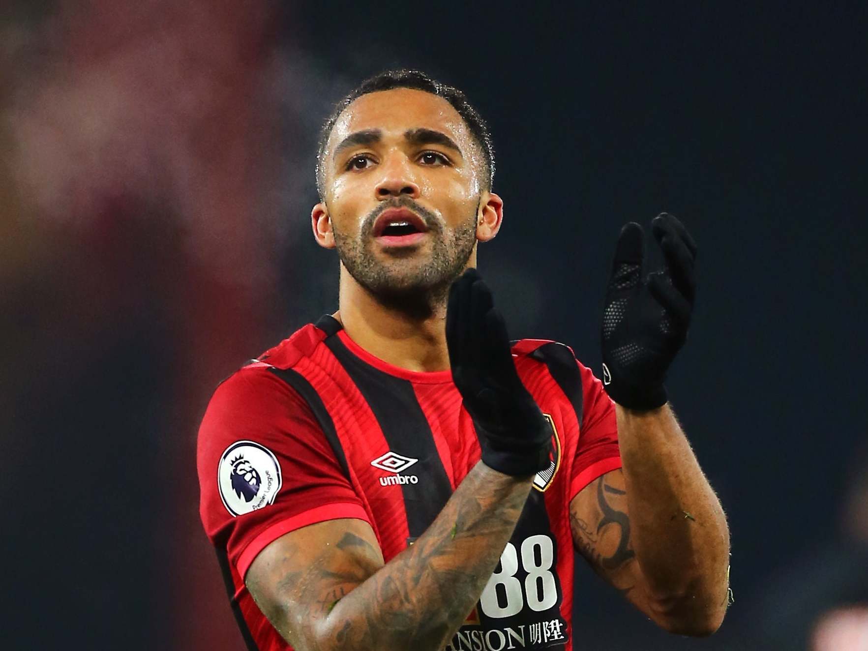 Callum Wilson ended his goal drought in Brighton’s win against Bournemouth