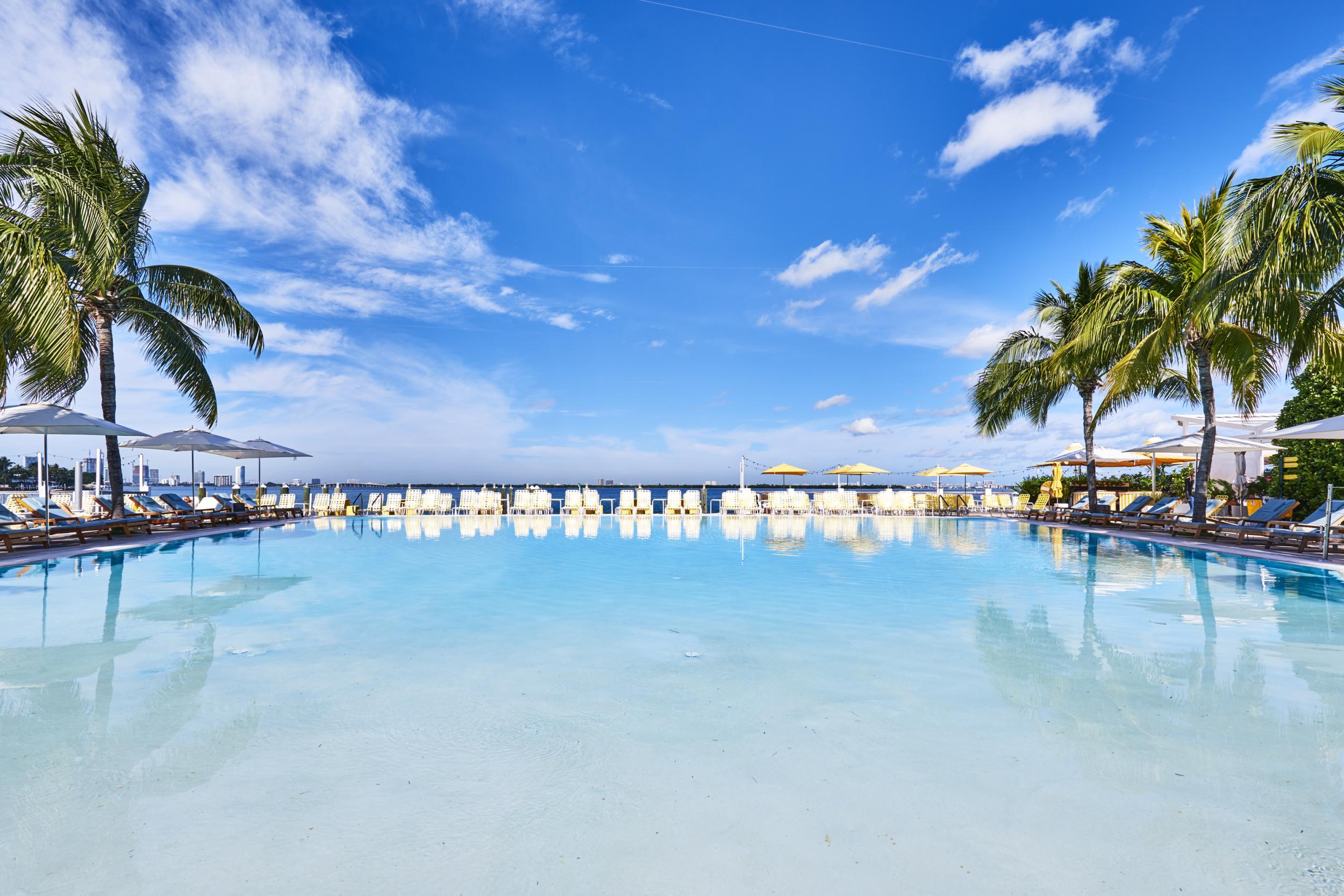 A salt-water pool surrounded by palm trees creates a tranqil spot at The Standard Spa hotel on Belle Isle