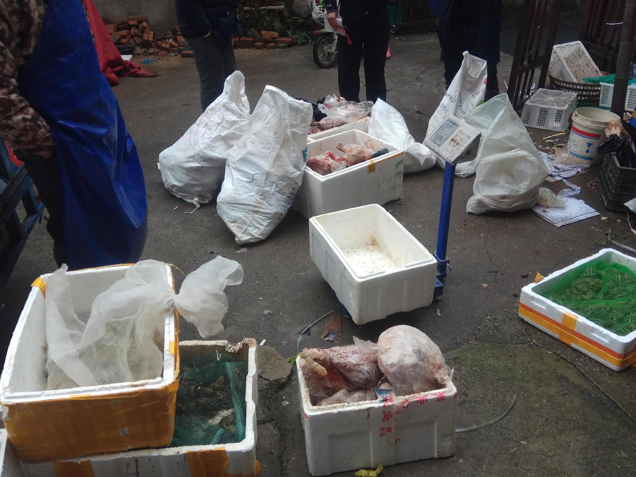 Items seized from a store suspected of selling trafficked wildlife are seen in Anji city in eastern China's Zhejiang Province (Anti-Poaching Special Squad/AP)