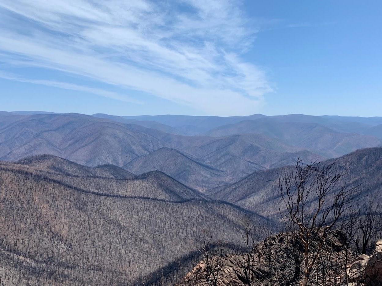 Image taken near Cobberas, East Gippsland, shows miles of trees devastated by bushfires