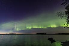 New kind of northern lights called ‘dunes’ discovered by amateur scientists