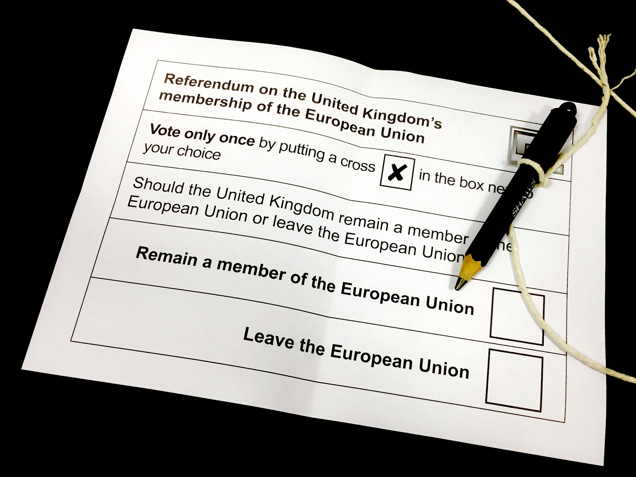 Polarising: an EU referendum ballot paper