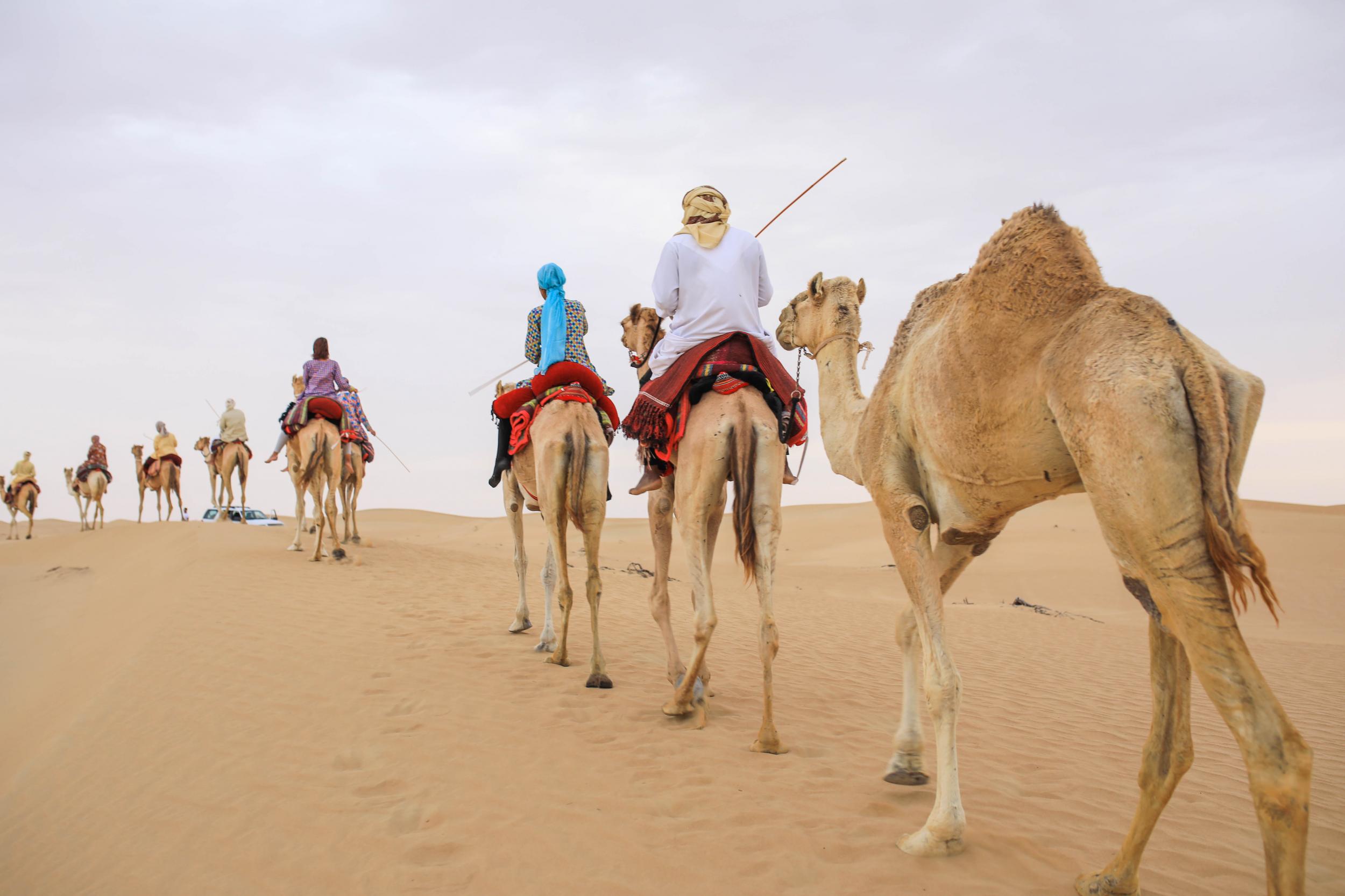 Spend the morning experiencing traditional Bedouin culture