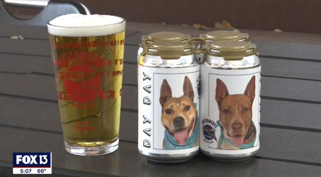 Beer campaign featured cans with photos of adoptable dogs (Fox13)